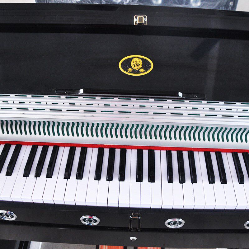 上海产丹凤牌脚踏风琴五组全音99型乡村小学教学脚踩风琴