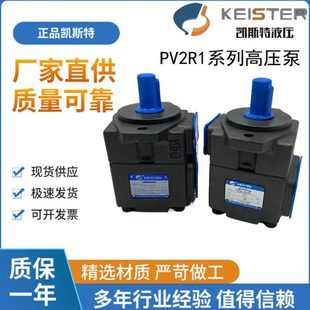PV2R1 31FR 浙江凯斯特KEISTER叶片泵
