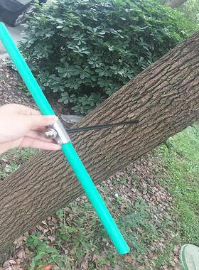 杭州绿博400mm植物生长锥SZZ40有多种参数规格可选合金钢材材质