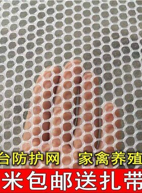 阳台网养殖养蜂塑胶网格片胶网子鸭鹅育雏网漏粪养鸡网脚垫防护网