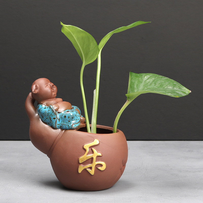 创意绿萝水培花瓶铜钱草花器水养植物紫砂多肉花盆客厅家居摆件