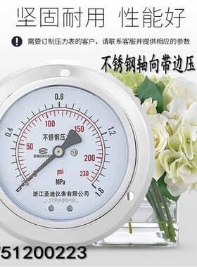 Y-100BFZT不锈钢轴向带边压力表耐高温腐蚀气压水压表油压真空表