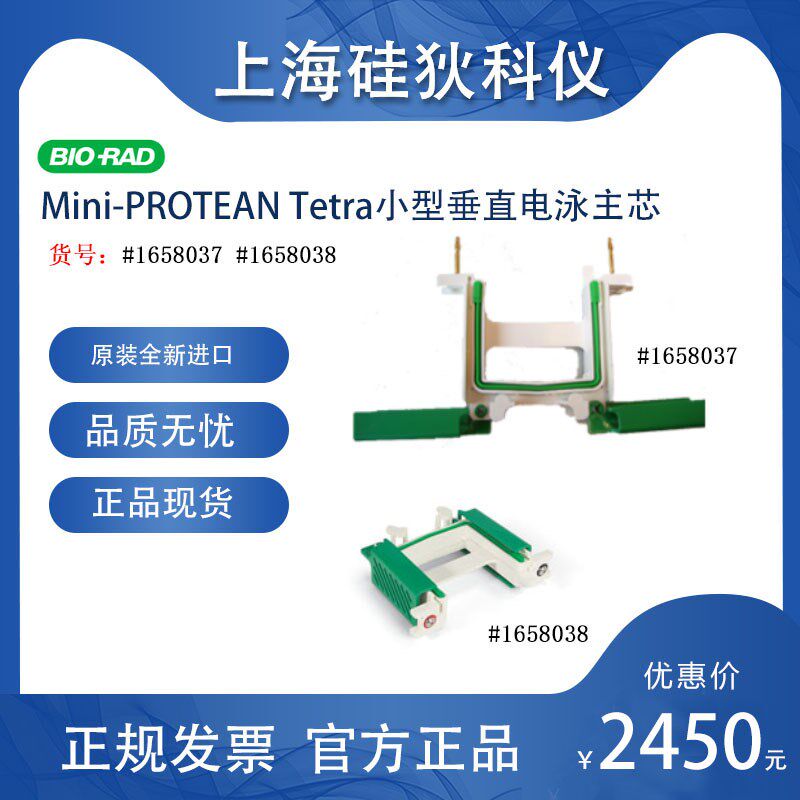 伯乐bio-rad 电极芯1658038电泳配件耗材电泳槽电极主芯副1658037