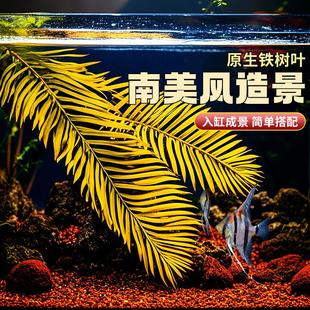 新鲜铁树叶水族原生态落叶造景树枝南美缸自装饰热带雨林风鱼缸然