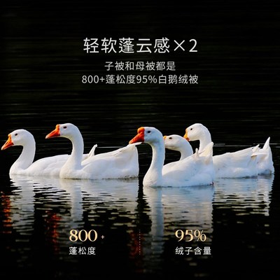 康尔馨子母被二合一鹅绒被子2024新款羽绒被冬被春秋被芯四季通用