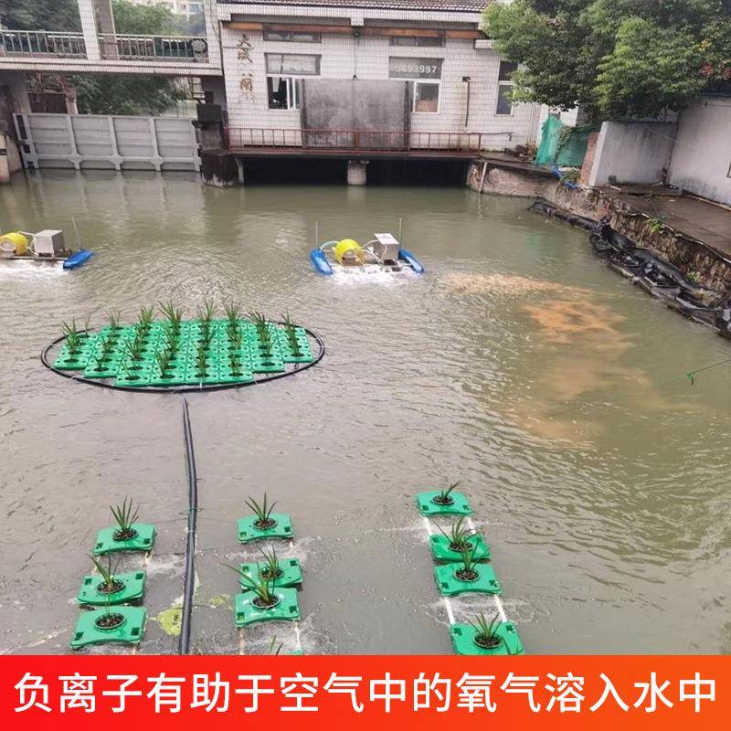 CN-LZ型水处理离子发生器设备500g-5000g养殖场发生器厂