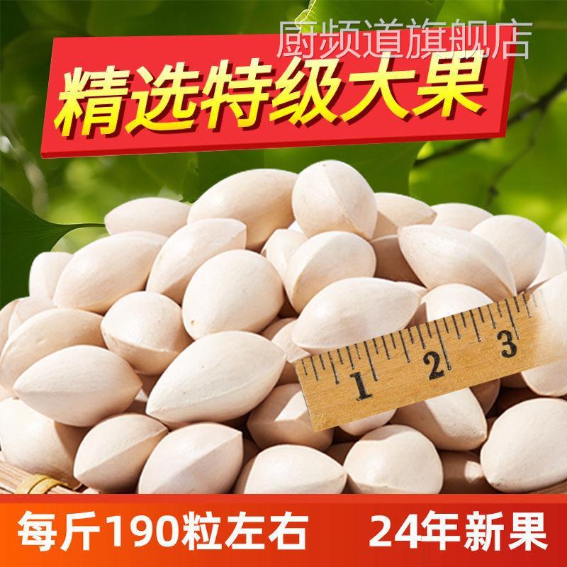 2025年新鲜大颗带壳白果银杏果无漂白泰兴特级包邮干货生百果