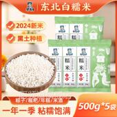 农科院东北白糯米5斤2025年新米正宗江米粘米粽子专用年糕饭团农