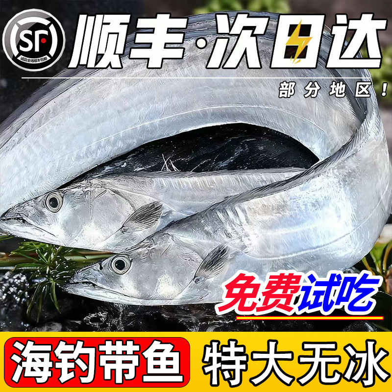 【顺丰冷链】海捕带鱼鲜捕速冻！