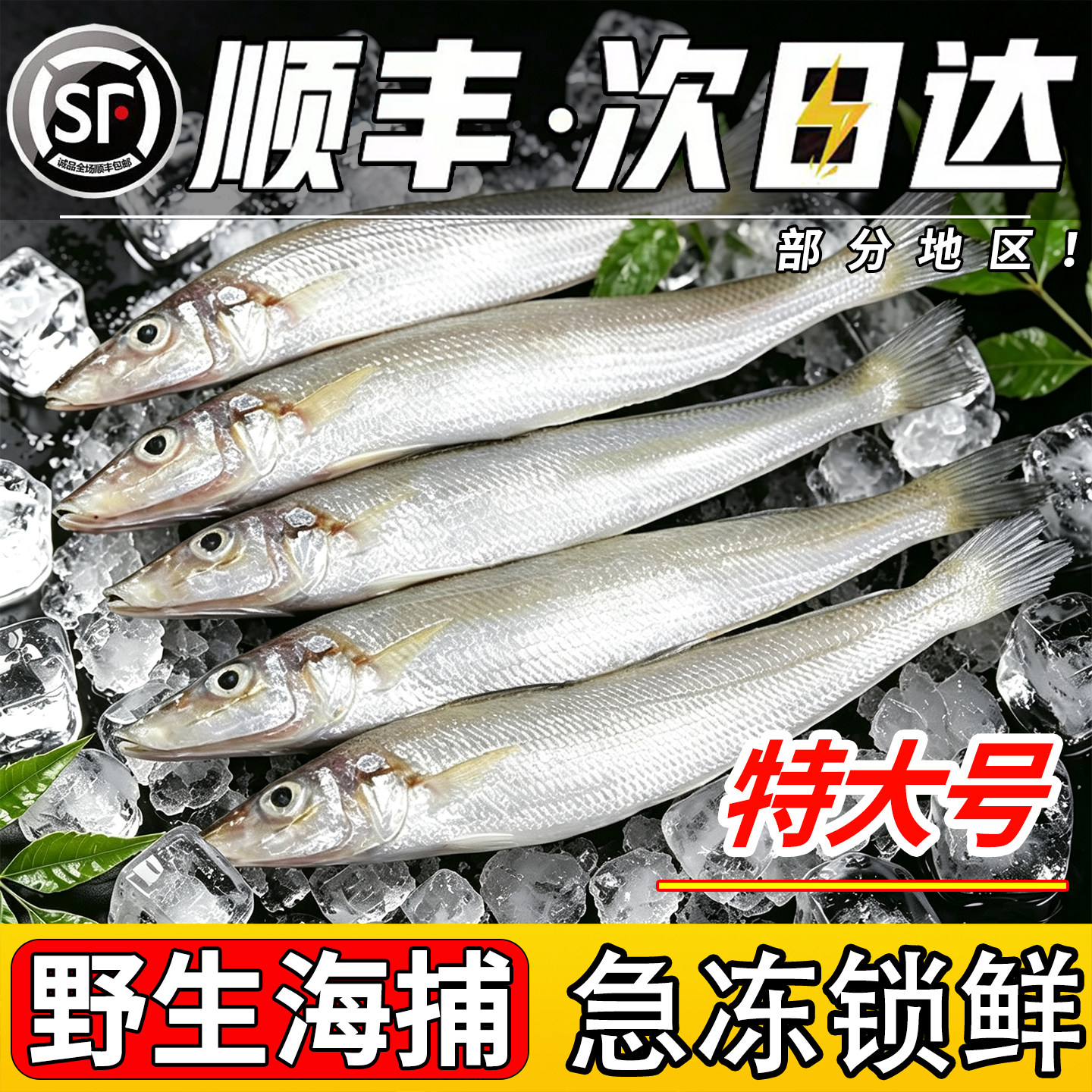 【特大号沙丁鱼官方旗舰店】