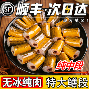 新鲜鳝鱼中段去头去内脏正宗黄鳝段野煲汤生商业批发顺丰冷链上门