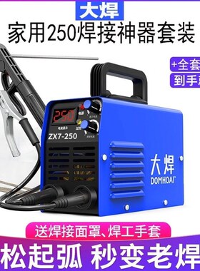 德国进口大焊电焊机家用220V小型250迷你可携式全自动全铜微型焊