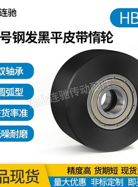 45号钢发黑平皮带用惰轮两边轴承 HBGC ENG21 光轮 宽度(T)11~32