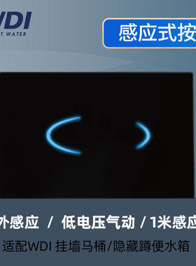WDI红外感应式按钮面板隐藏水箱暗装挂墙马桶嵌入式蹲便坐便器用