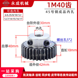 内孔6 1M40 齿外径42 配螺丝 直齿轮 精加工齿轮 1模40齿