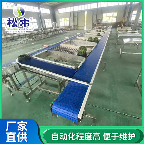 全自动水果重量分选机 西瓜蜜瓜分选设备 大芒果不伤果水果选果机