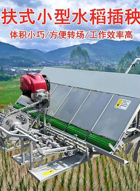水田小块四冲程农用自走式水稻插秧机 4-8小型秧苗种植抛秧机