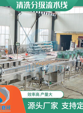 红薯土豆地瓜清洗烘干打蜡分级流水线橙子龙眼大枣清洗分级流水线