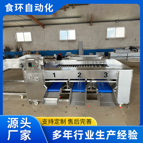 果蔬天麻重量分选机 商用滚杠式橙子分级机 全自动土豆荔枝分级机
