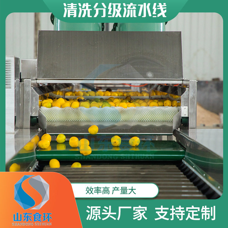沃柑橘子清洗分级流水线 海南青金桔李子清洗分级流水线厂家,清洗/食品/商业设备,洗果机/洗菜机,淘宝优惠券,粉丝福利购,淘宝优惠卷