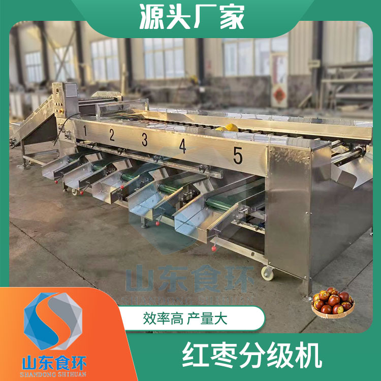 全自动果蔬分级机 圣女果红枣分级机选果机 龙眼分级机设备