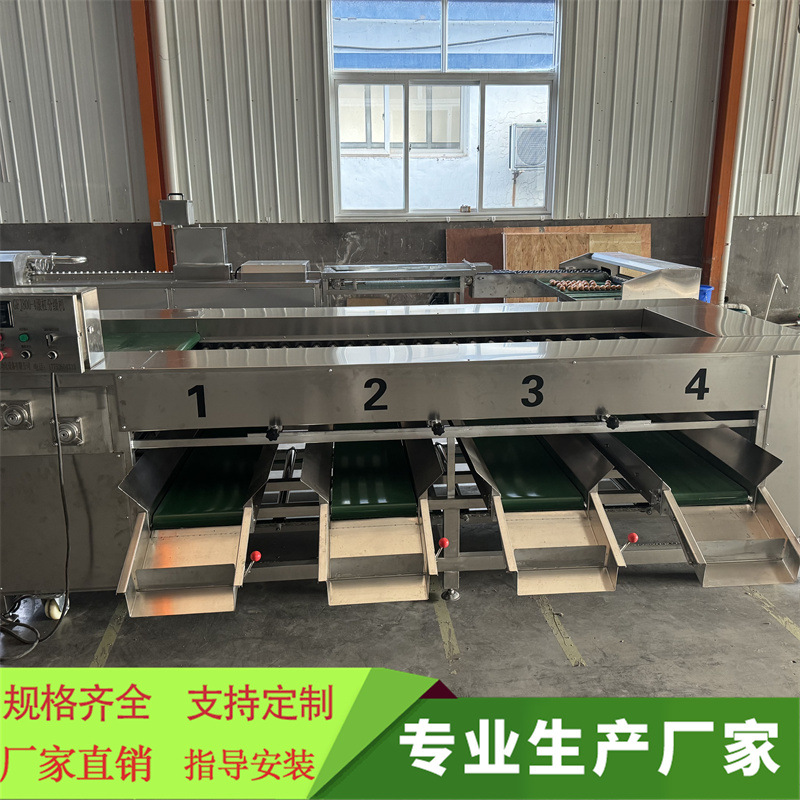 土豆滚杠分选机果蔬分选机生产线滚杠式捡果机设备洋葱滚杠分选机