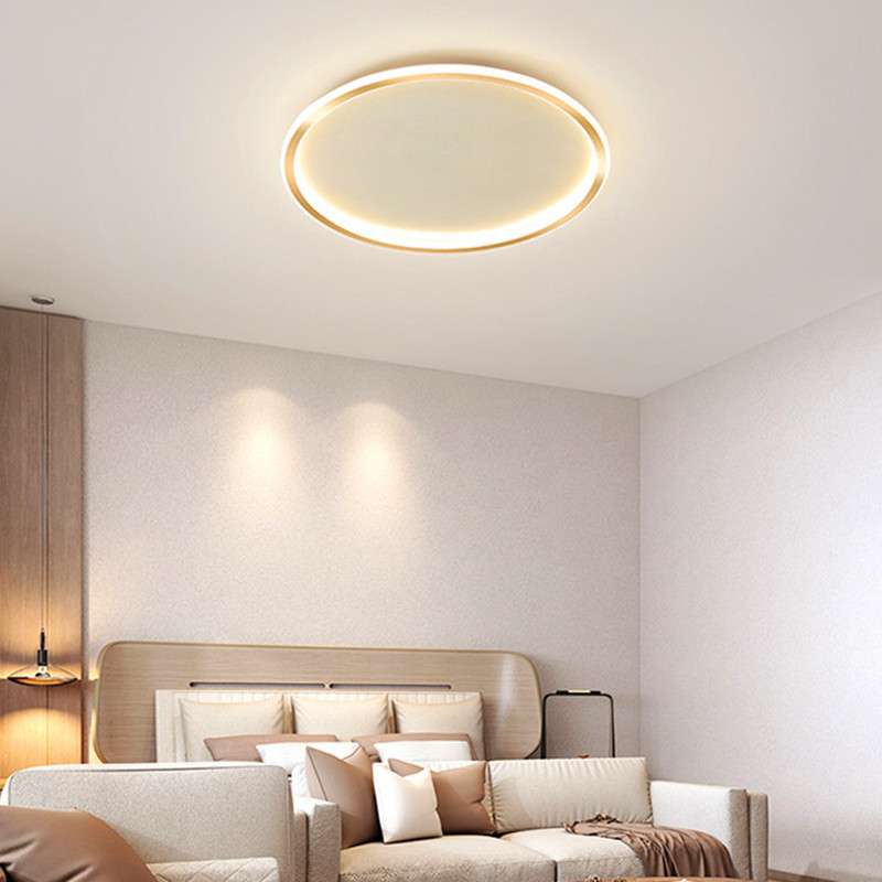 2025新款简约现代吸顶灯led北欧主卧室客厅书房间家用超薄灯具