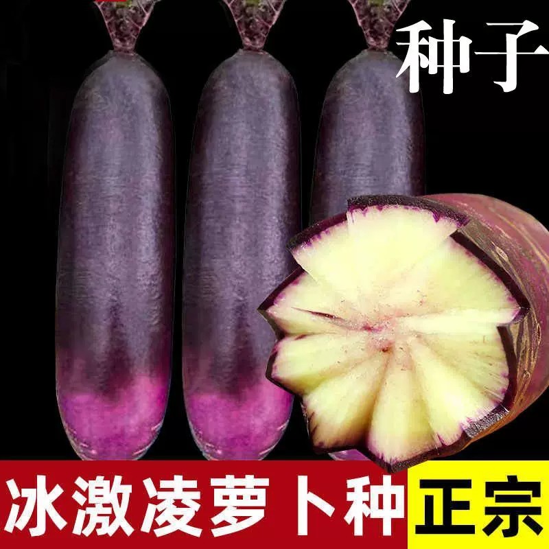 超甜可生吃冰淇淋萝卜种子图片