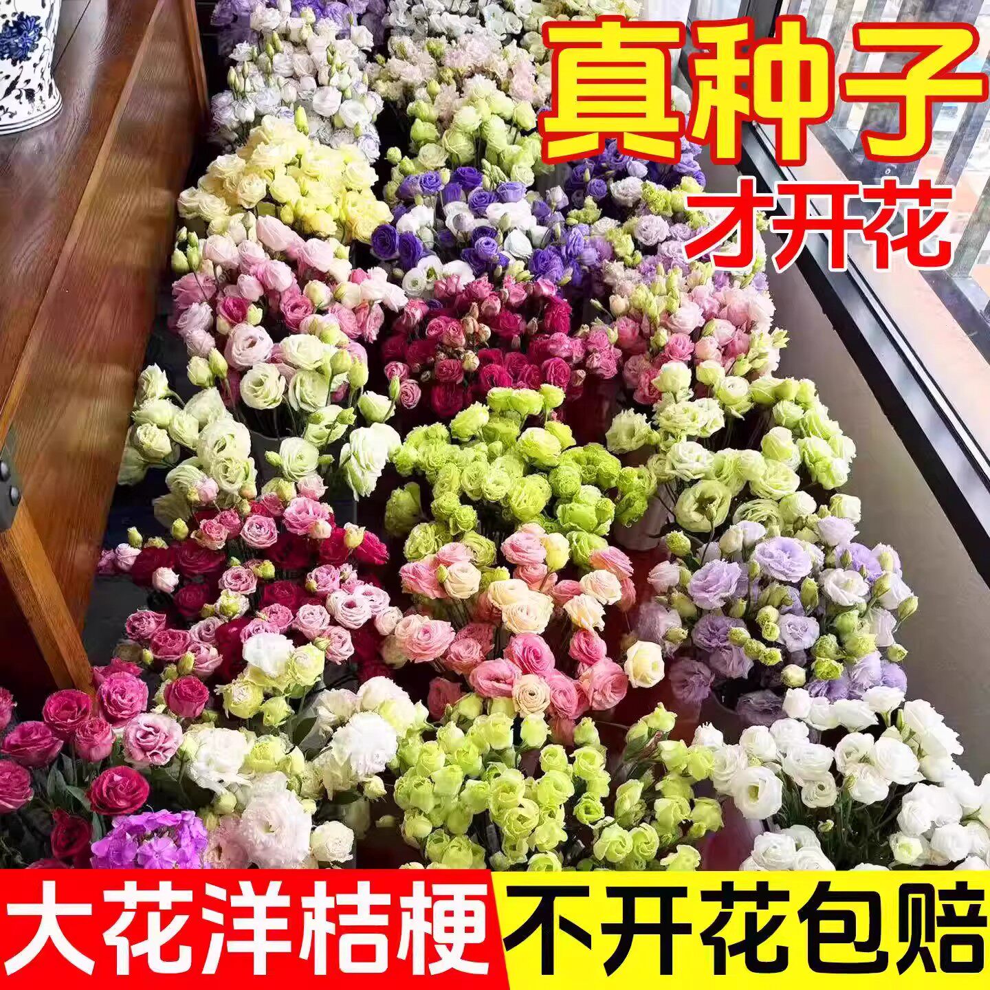四季洋桔梗花种子种易活花苗室内室外玫瑰种孑盆栽花卉花种籽花籽图片
