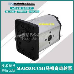 120 135齿轮 马祖奇MARZOCCHI油泵ALoP3
