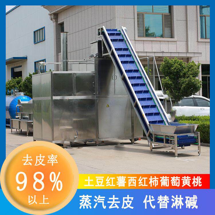 蒸汽去皮机薯条薯片全套加工设备土豆马铃薯西红柿红薯地瓜去皮