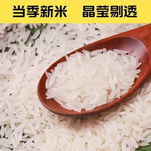 金饭碗新季大米异形元宝1kg米南方长粒香米米饭软糯香甜零售批发