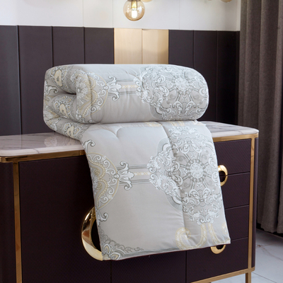 秋冬被子冬被春夏云丝棉被芯双人太空调被厚K男女学生宿舍单人1.5