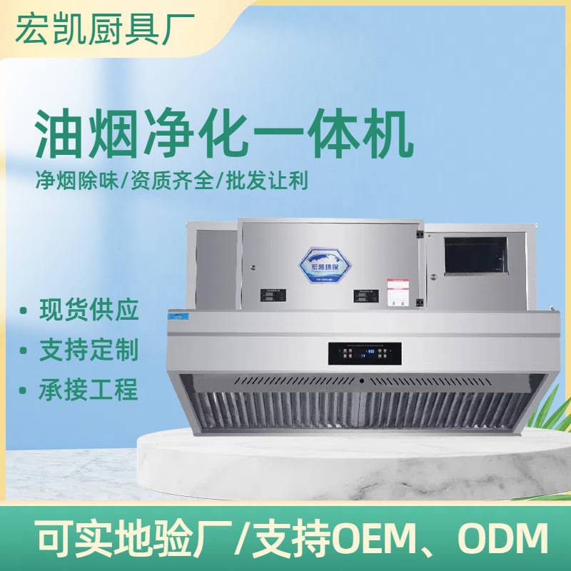 商用油烟净化一体机智能油烟净化机餐饮烧烤净化器支持验厂