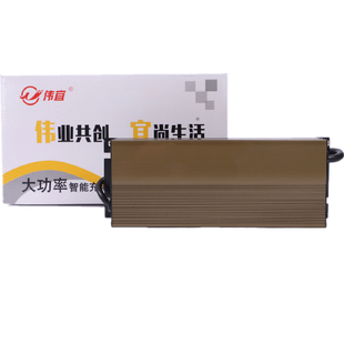 伏安车充电器新能源水电干电通用电动三四车伟宜