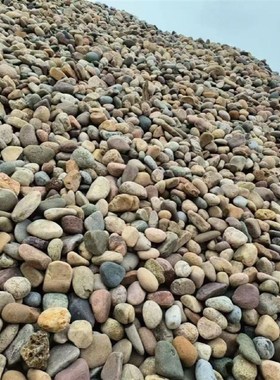 公园铺路造景鹅卵石水处理过用大型河卵石人工湖底河道用鹅卵石