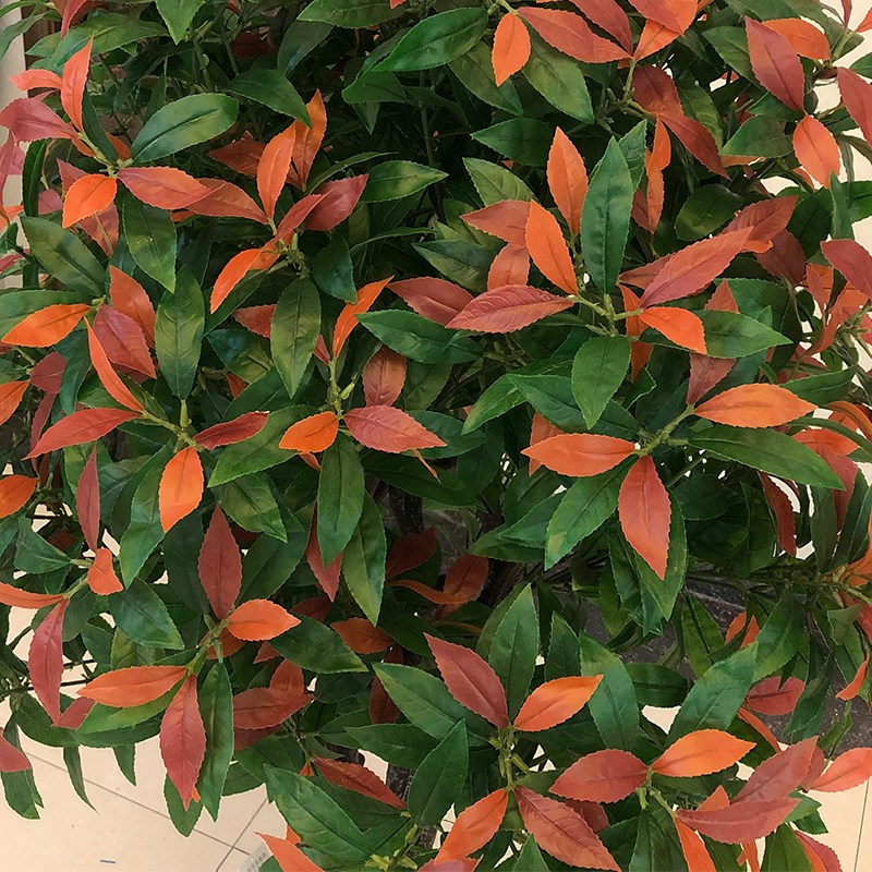仿真植物盆栽红叶绿植红楠木石楠盆栽园林工程造景装饰品厂家直售