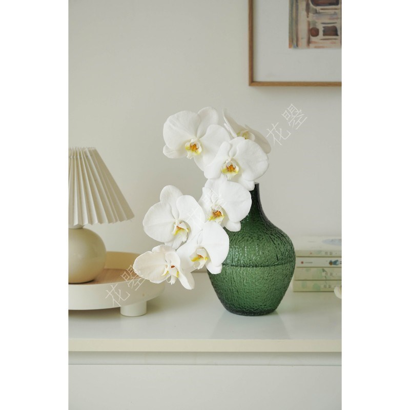 花曌 绿掌米多蕊白色蝴蝶兰鲜切花鲜花水养真花家居餐桌面瓶插花