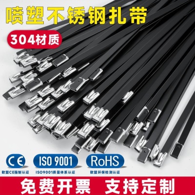 304喷塑不锈钢扎带4.6*300黑色金属扎带桥架标牌电缆束线带