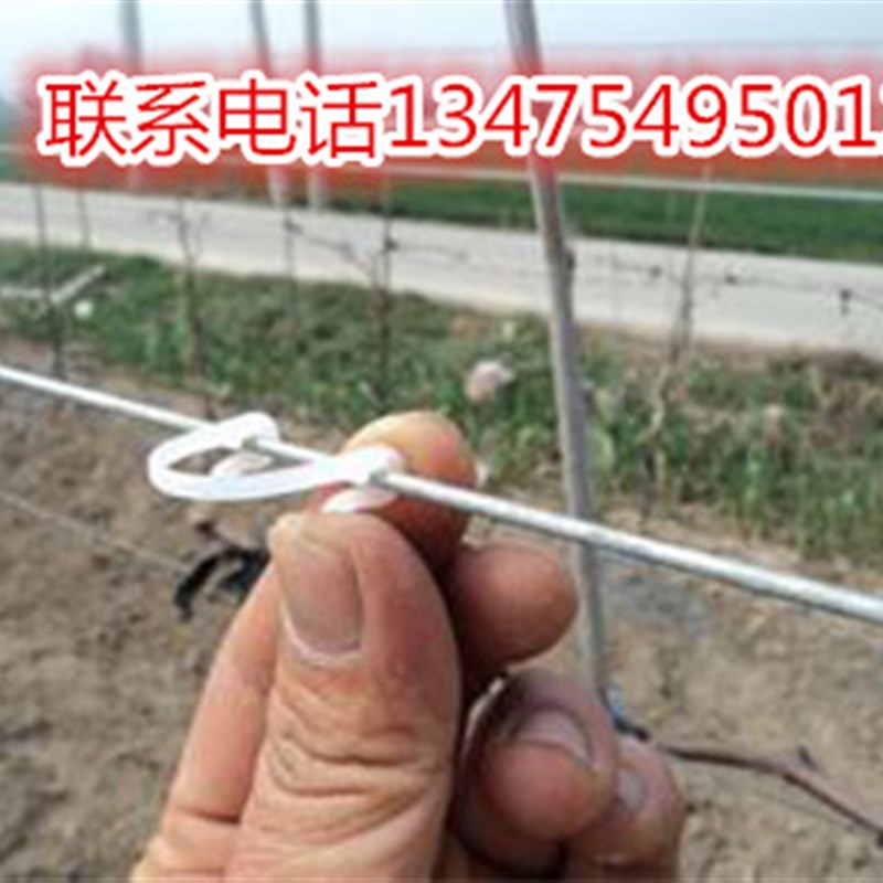 葡萄绑枝卡套袋猕猴桃绑枝卡葡萄绑枝机绑枝扎丝葡萄苗修枝剪卡扣
