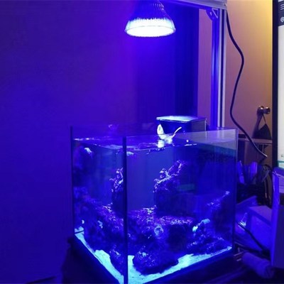 24W水草灯水族灯大功率植物灯养鱼灯蓝光灯水藻生长灯 家用补光灯