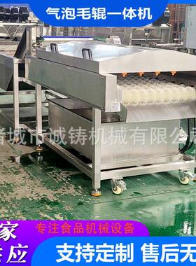 定制气泡毛辊一体清洗机凉薯去泥沙清洗机沙果气泡毛辊一体清洗机