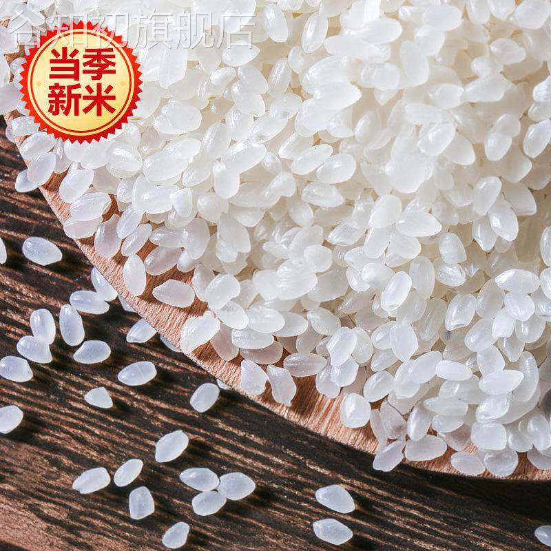 优质大米东北大米盘锦蟹田大米官方旗舰店10斤2023年新磨新米珍珠