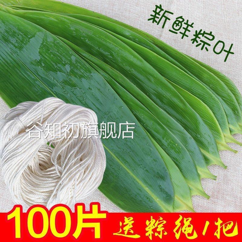粽叶新鲜粽子叶大号包粽子专用大宽叶粽子叶子真空包粽子的叶子