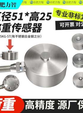 厂家直销LZ-HM51高精度微型称重传感器测量荷重测压力压点式重力