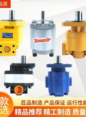 小装载机堆高机液压齿轮油泵配件大全CBFC18 25 50行走泵大泵工作