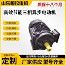 高校节能三相异步电动机全铜线国标能效工业机械电机源头低价