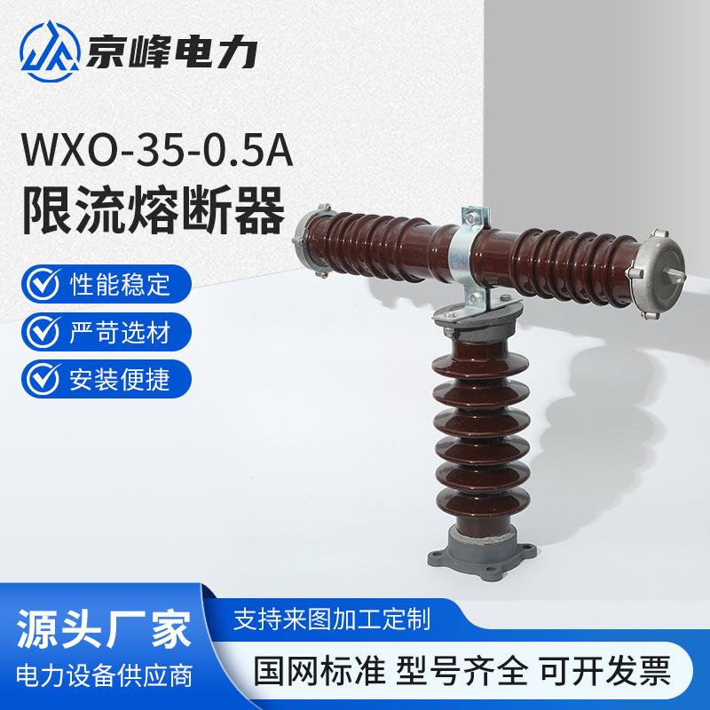 WX0-35-0.5A户外高压限流式熔断器T型熔断器可卸式熔断器RW10