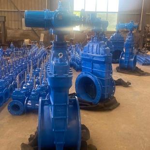 Z945X 16Q手动电动闸阀蝶阀铸铁软密封法兰弹性阀座密封市政污水4