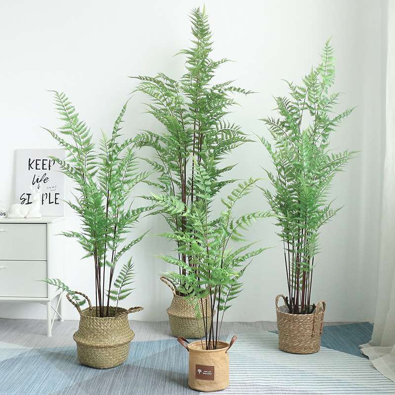 大型仿真绿植盆栽蕨草树室内居家店面装饰植物摆件特大蕨草盆栽树